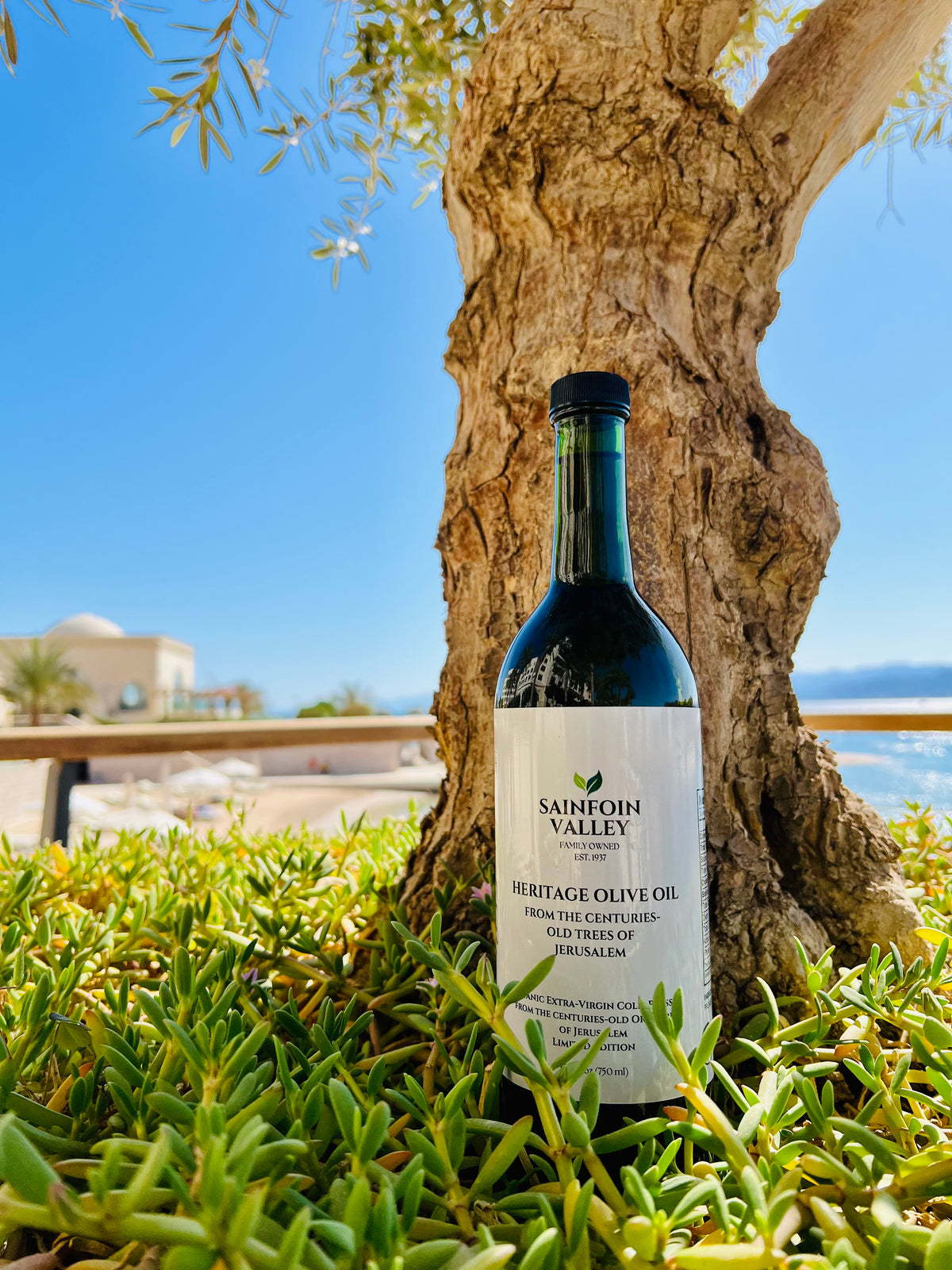 Jerusalem Heritage Gourmet Organic Olive Oil (LIMITED EDITION) Sainfoin Valley