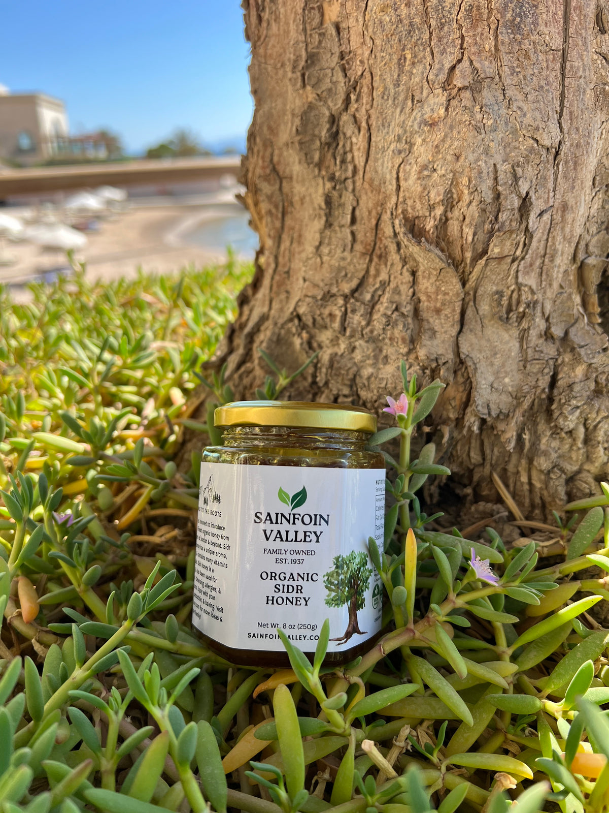 Organic Gourmet Sidr Honey-Sainfoin Valley